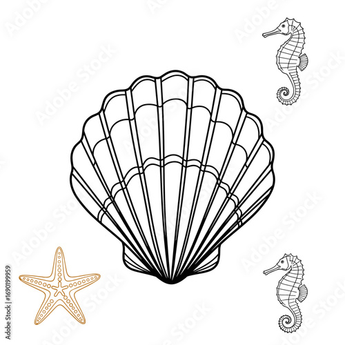 Detailed illustration of a large scallop shell with two seahorses and a starfish element