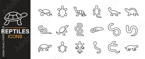 Vector reptile icons set with snake, lizard, turtle, crocodile, and iguana symbols