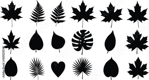 Leaf silhouette vector collection, black botanical shapes, tropical palm leaves, maple leaf design, natural foliage illustration, eco friendly nature pattern graphic