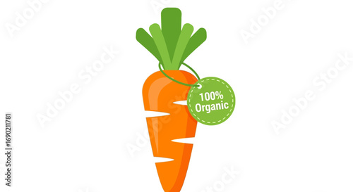 100% Organic Carrot Illustration with Green Leaves and Tag