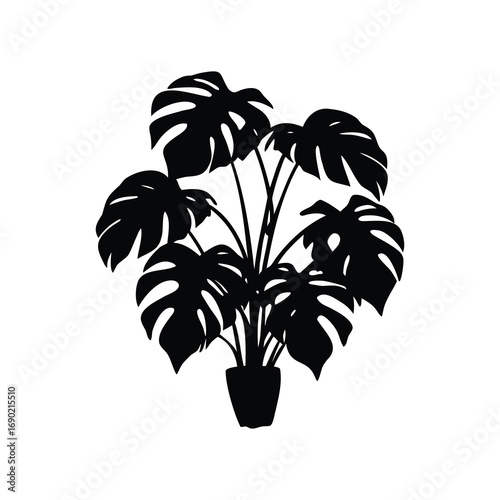 Silhouette of a vibrant Monstera deliciosa plant in a simple pot, jungle plant with broad leaves silhouette vector illustration