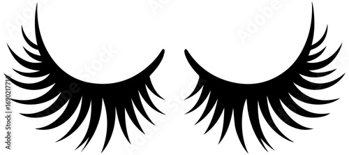 Striking lashes enhance beauty looks, perfect for makeup tutorials and beauty blogs