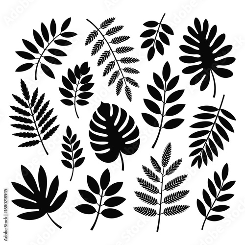 Silhouette set of various tree leaves, vector illustration collection of maple, oak, aspen, fern leaf shapes, black botanical icons for nature and design projects.