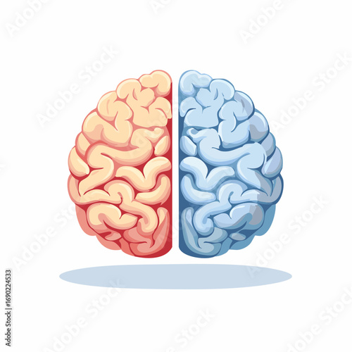 Two Brain Hemispheres, Light Pastel Colors