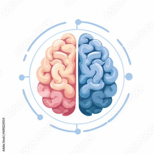 Colorful Human Brain Divided in Two Halves with Light Blue Circles