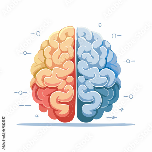 Divided Brain Illustration