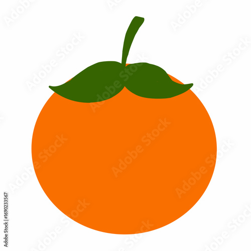 orange fruit vector illustration