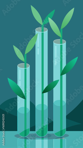 Three test tubes with plant growing inside