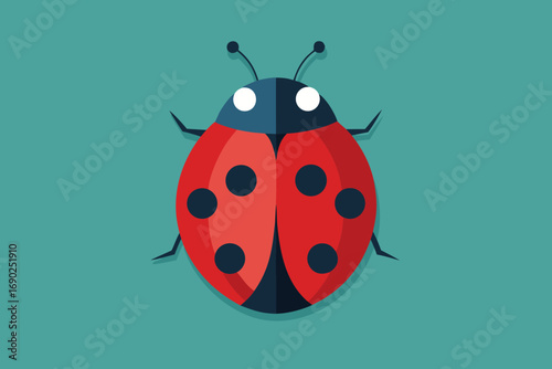 Vector art of a vibrant ladybug illustration with a red shell and black spots on teal background, capturing the essence of natures beauty in a simple and elegant design