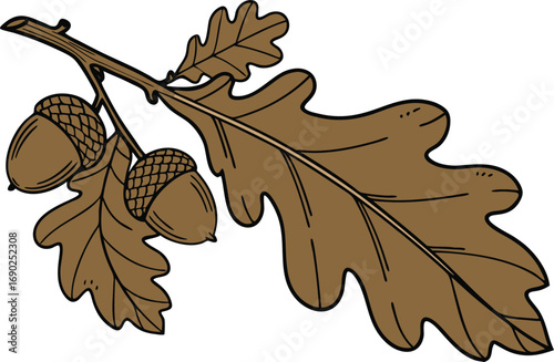 Illustration of an oak branch, featuring acorns and leaves, capturing the essence of natures bounty and the beauty of the autumn season
