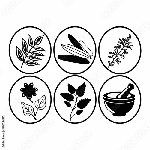 Collection of herbal medicine icons, perfect for natural health and wellness themes