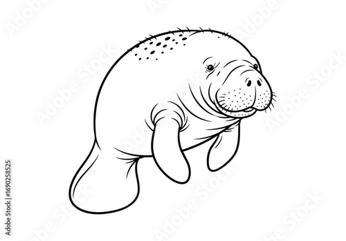 Manatee Line Art Illustration Elegant Black and White Design