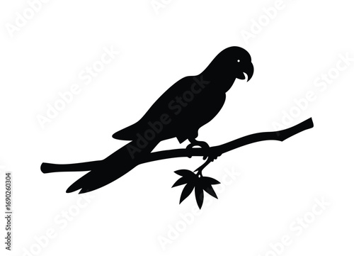 Silhouette of a parrot perched on a branch with leaves against a