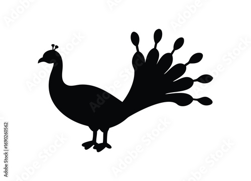 Elegant silhouette of a majestic peacock displaying its full plumage beautifully