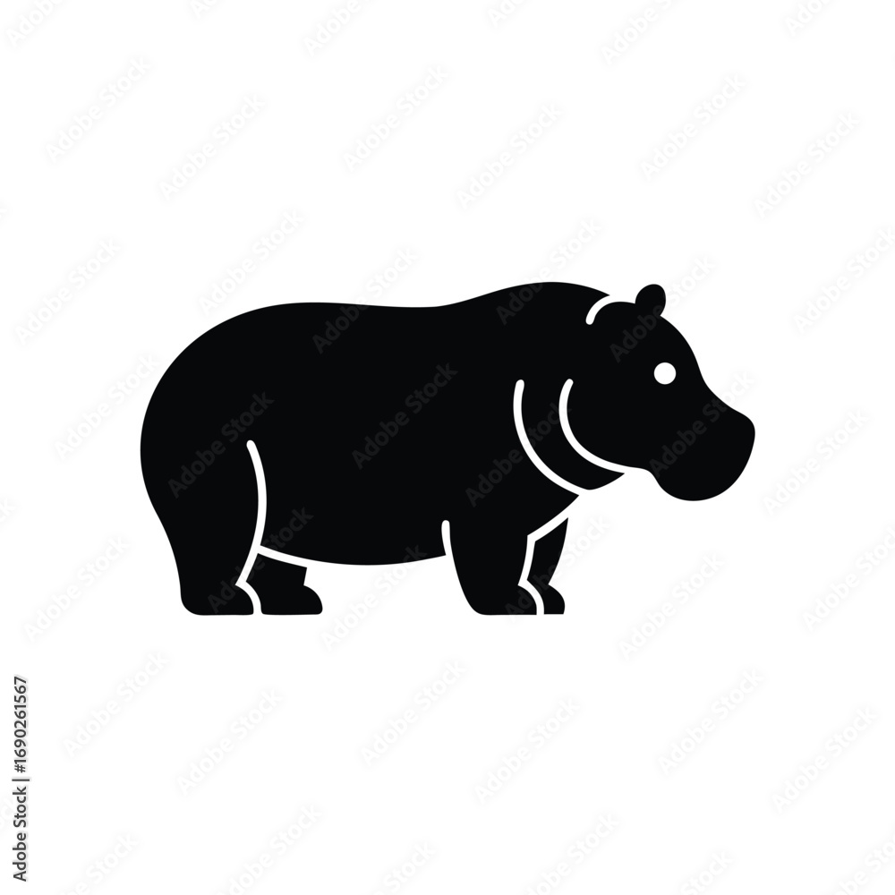 Fototapeta premium a head of hen