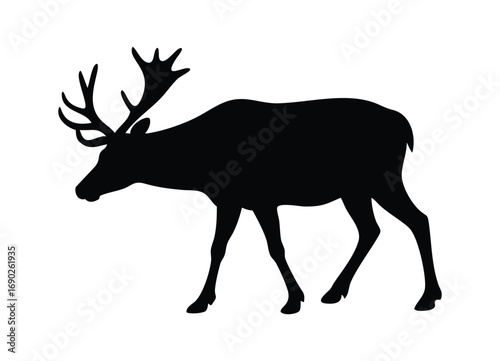 Majestic silhouette of a stag deer with antlers on a