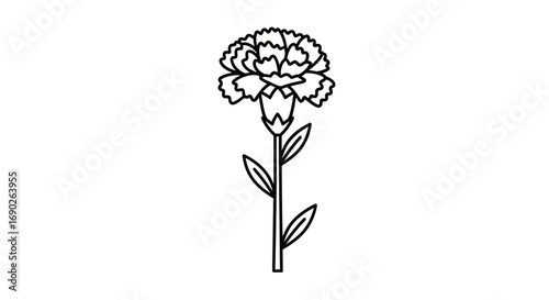 Bild auf Leinwand Simple black line art illustration of a single carnation flower with a stem and leaves