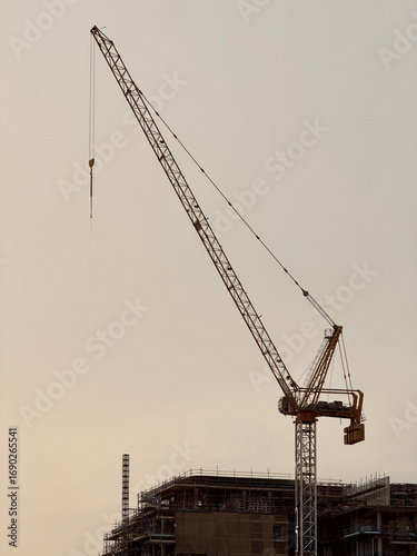 Tall construction crane over building site silhouetted against clear evening sky, industrial machinery and modern urban development concept