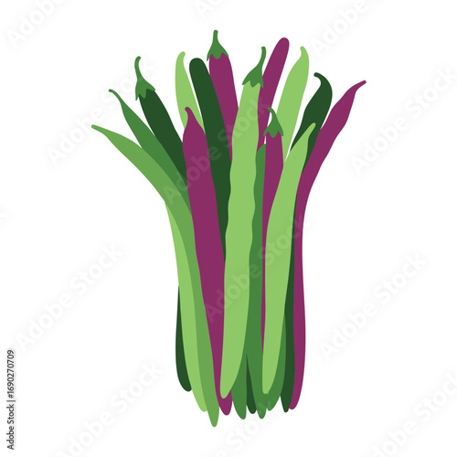 Healthy fresh bunch of vibrant green and purple string beans ready for cooking and eating