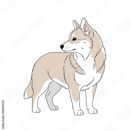 A charming illustration of a shiba inu dog standing proudly and looking to the side