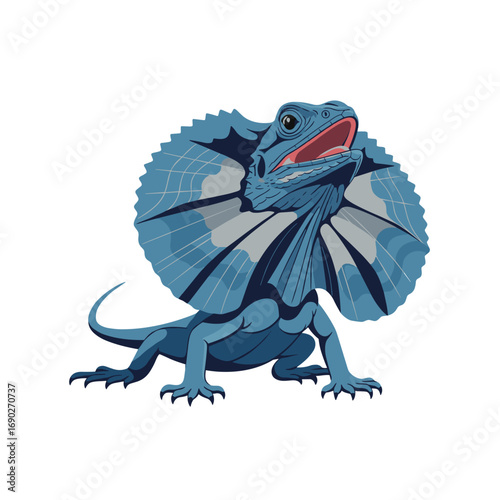 A majestic blue frilled lizard displays its iconic neck frill in a dramatic pose