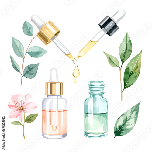 Essential Oils in Glass Bottles with Droppers.