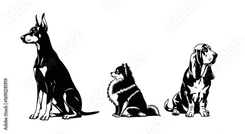 Elegant monochrome dogs: Doberman, Pomeranian, Basset Hound sit with regal grace in a classic pet portrait