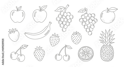 Fresh fruit outline collection, healthy eating concept, apple, banana, grapes, strawberry, cherry, and pineapple