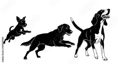 Playful dogs having fun jumping and looking up, perfect for pet lovers and animal designs