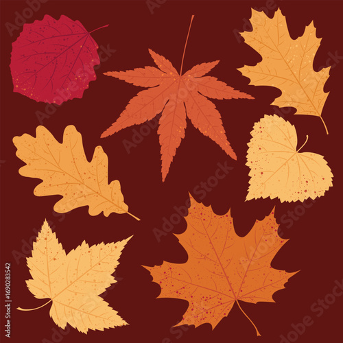 Set of various colorful leaves in an autumn palette on a dark brown background. Vector foliage illustration.	