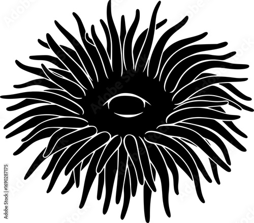 Sea anemone silhouette, Sea anemone vector illustration, Sea anemone svg, Sea anemone clipart.