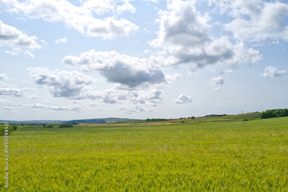 Obraz premium 자연 목초 경작 녹색 들판 하늘 구름 아웃도어