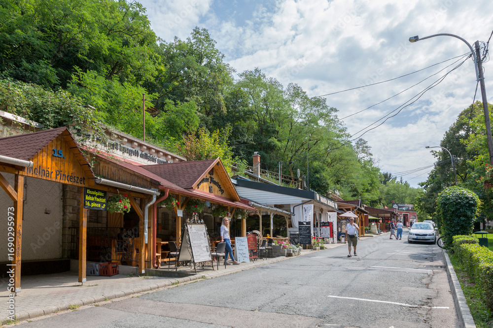 Obraz premium Eger, Hungary - August 23, 2019: Street with wine cellars in the city of Eger