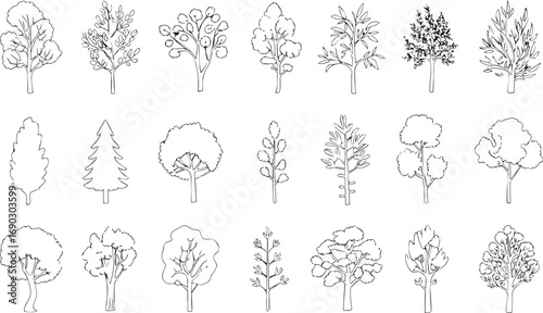 Collection of black and white line art trees of various species, minimalistic botanical illustrations for design and nature themes.

