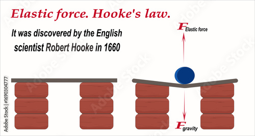 Hooke's Law. Elastic force