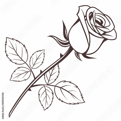 Elegant line art illustration of a single dark brown rose with leaves and thorns on a white background