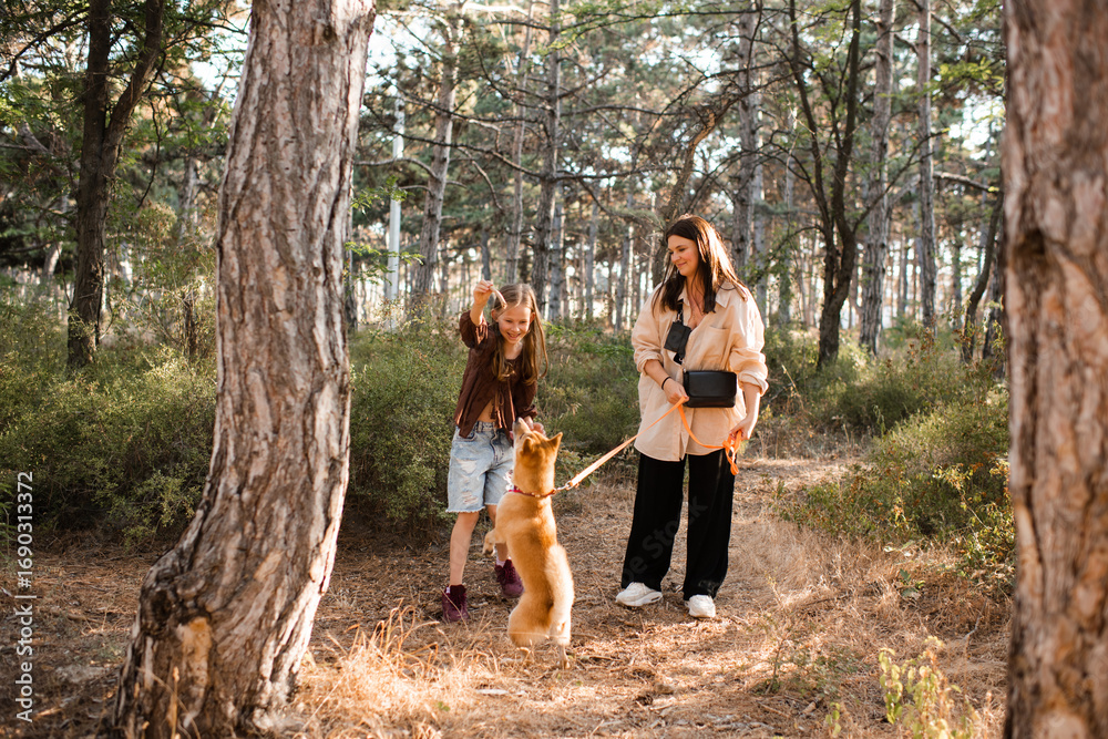 Obraz premium Happy woman and child girl take for a walk shiba inu dog in woods outdoors. Friendship. Autumn season.
