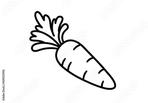 Carrot drawing. A simple line art sketch of a carrot, a popular root vegetable known for its bright orange color, sweet taste, and crunchy texture. Vector sketch line art draw.