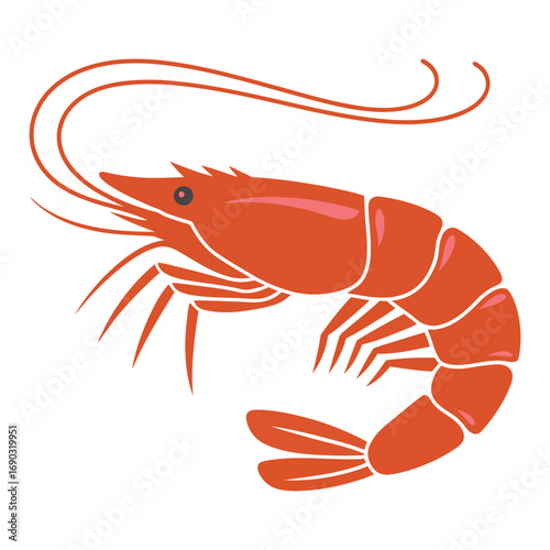 shrimp on white background