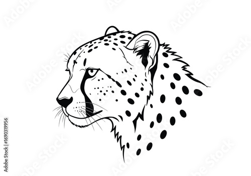 Cheetah head drawing. It is a line art sketch of a cheetah's head, a graceful and fast feline predator known for its distinctive spotted coat and facial markings. Vector sketch line art draw.