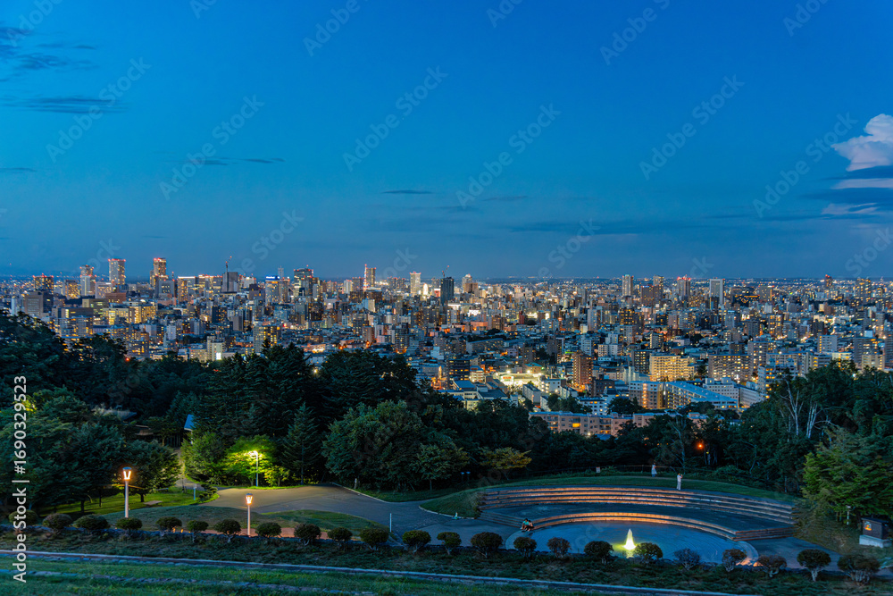 Obraz premium 北海道 旭山からの札幌の夜景