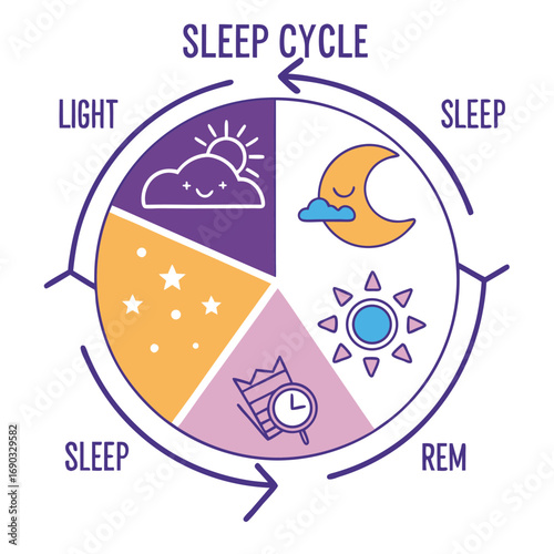 Sleep Cycle Diagram: A visually informative diagram vividly illustrates the sleep cycle with colorful imagery, elucidating stages of light sleep, deep sleep, and REM sleep