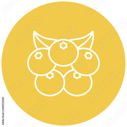 Berries Icon