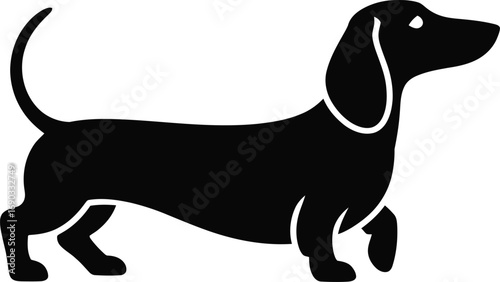 Dog Silhouette SVG Bundle File, All Dog breeds