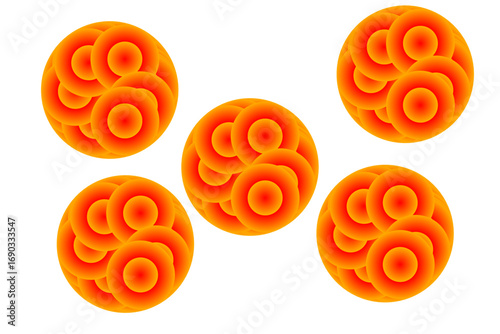 Five abstract orange discs with circular patterns and concentric rings are arranged against a white background