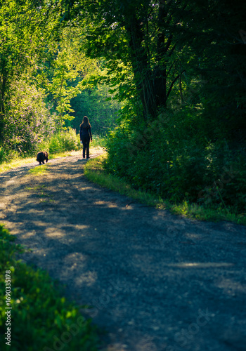 Walk in the woods