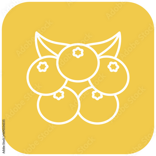 Berries Icon