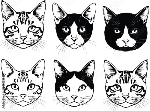 (152)Cat Face Silhouette Set – Black and White Vector Illustrations of Tabby and Tuxedo Cat Expressions and Fur Patterns