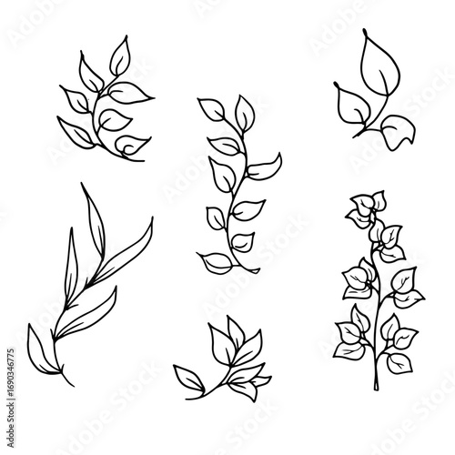 Graceful twigs black and white sketch. Vector illustration. Floral botanical drawing, set of silhouettes isolated on white background. For postcards, wedding invitations, advertising and blog design