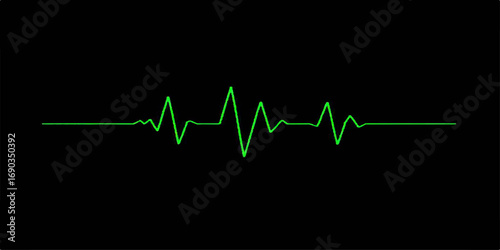 A blue and green cardiogram line shows a graphic representation of a heartbeat on a monitor, reflecting the vital pulse and rhythm of life